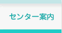�Z���^�[�ē�