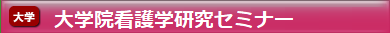 大学院看護学研究セミナー
