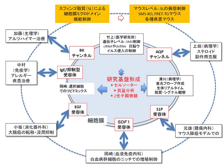 研究体制