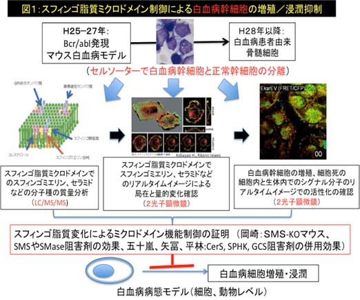 実験計画