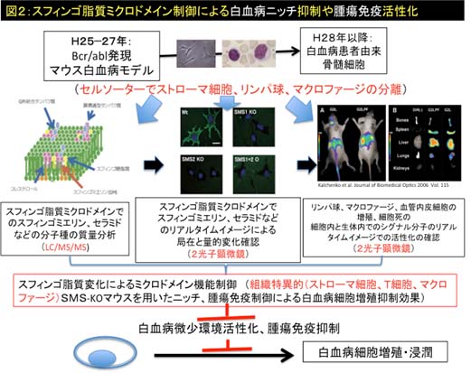 実験計画
