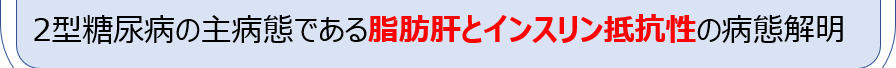 2型糖尿病の主病態である脂肪肝とインスリン抵抗性の病態解明