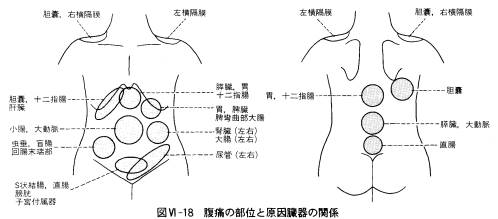 性 防御 筋