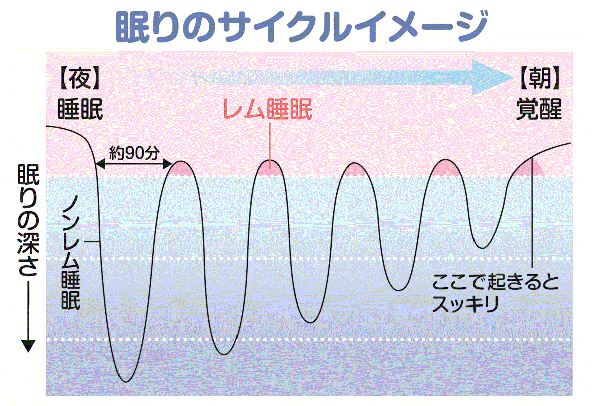 レム図-1-gif.gif
