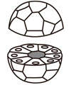 MDCK模式図”　width=