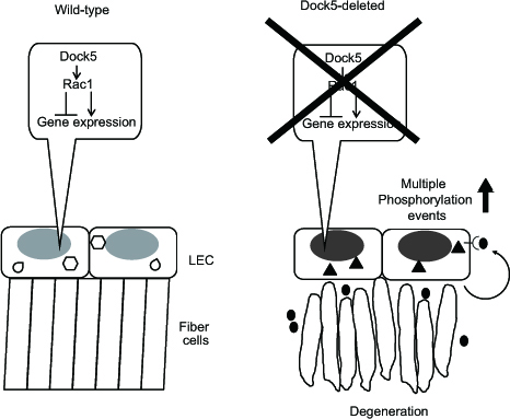 RLC_Model”　width=