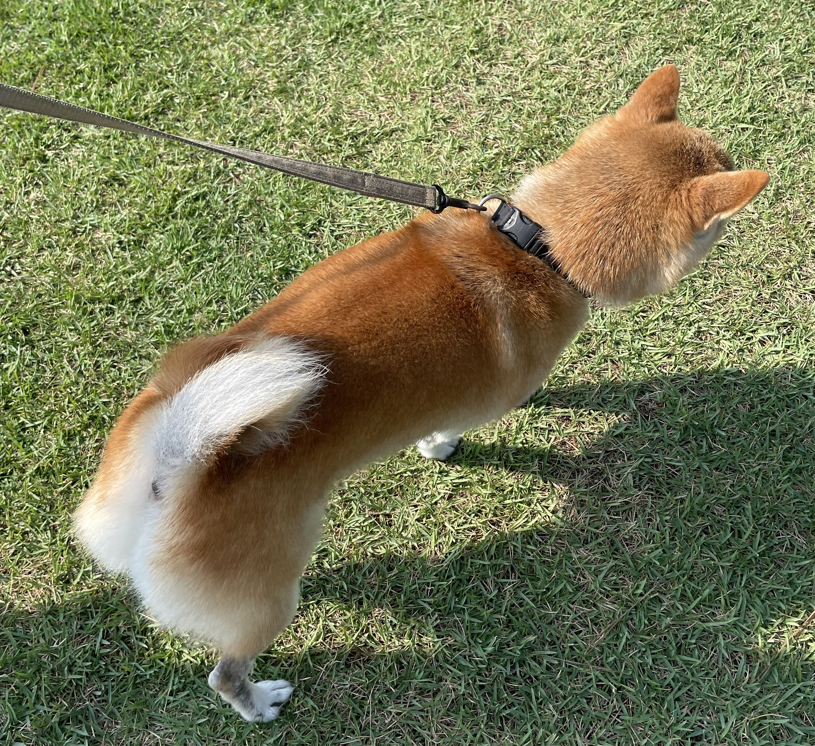 中山写真” width=