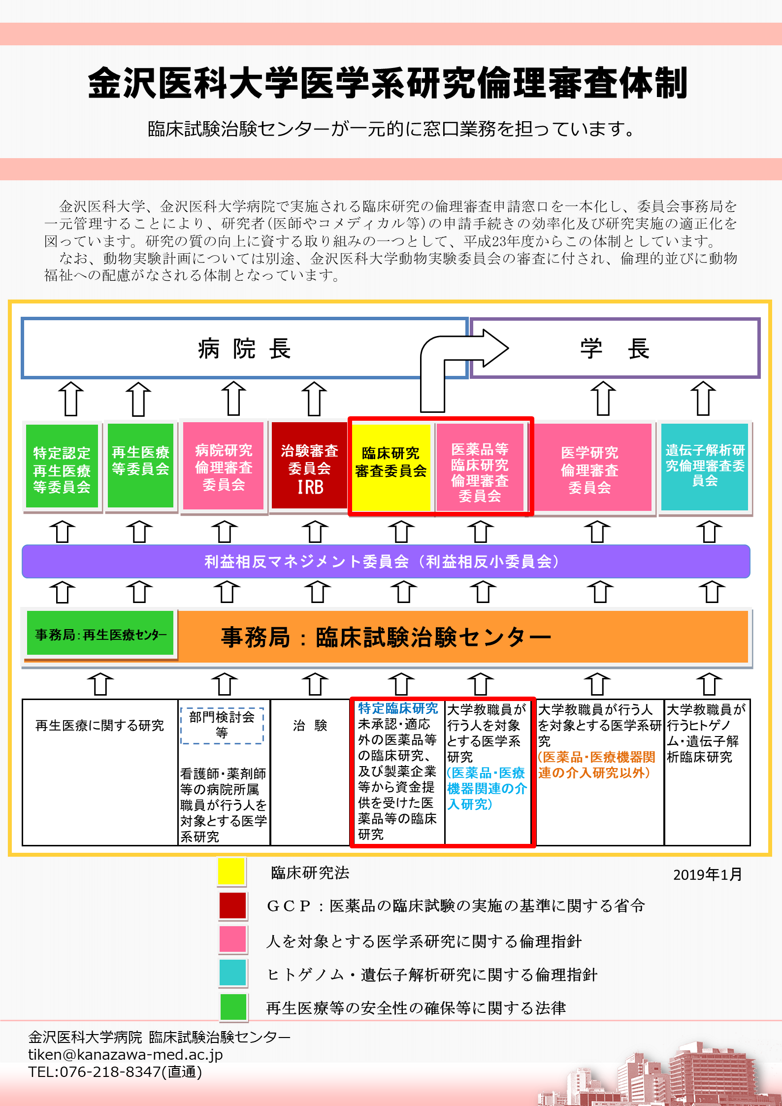 研究倫理審査体制