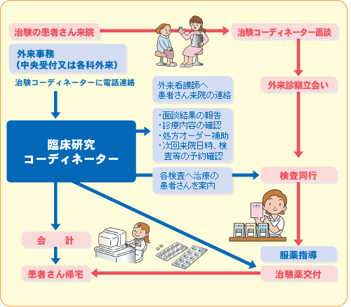 臨床研究コーディネーターの業務内容と一日の流れ